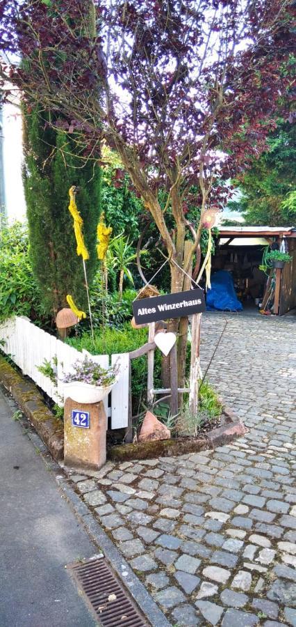 Apartment Altes Winzerhaus Osann-Monzel Buitenkant foto